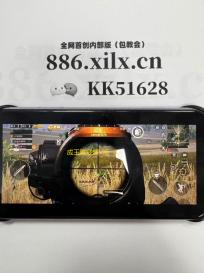 成王败寇超V版  0.22.239